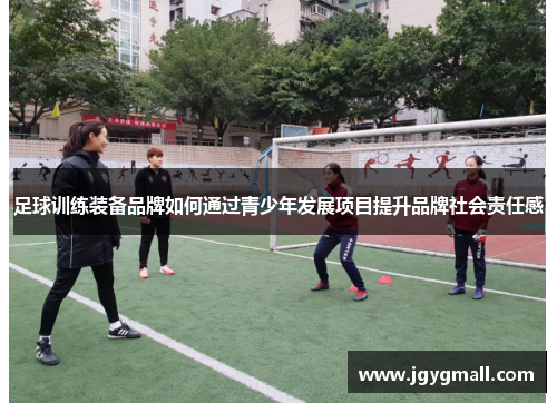 足球训练装备品牌如何通过青少年发展项目提升品牌社会责任感